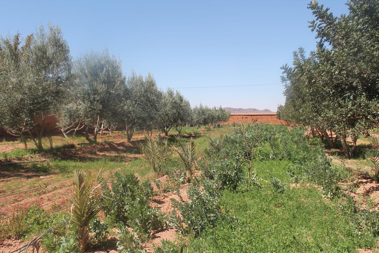 Dar Alfourssane Ferme D'Hote Ouarzazate Eksteriør billede